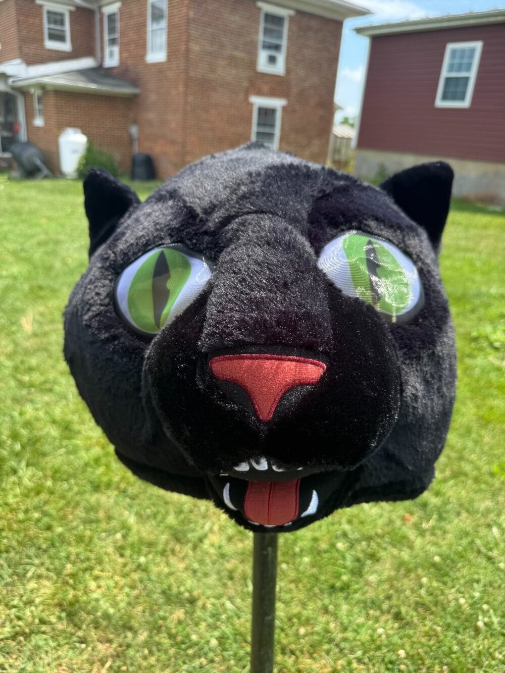 Panther Animal Head